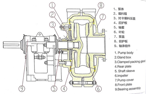 脫(tuo)硫泵結(jie)構圖