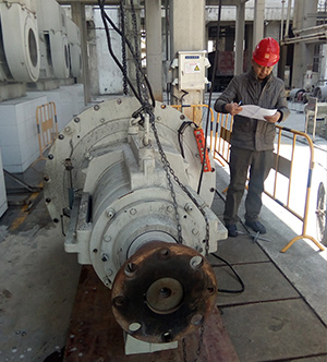 定(ding)制服務類(lei)别